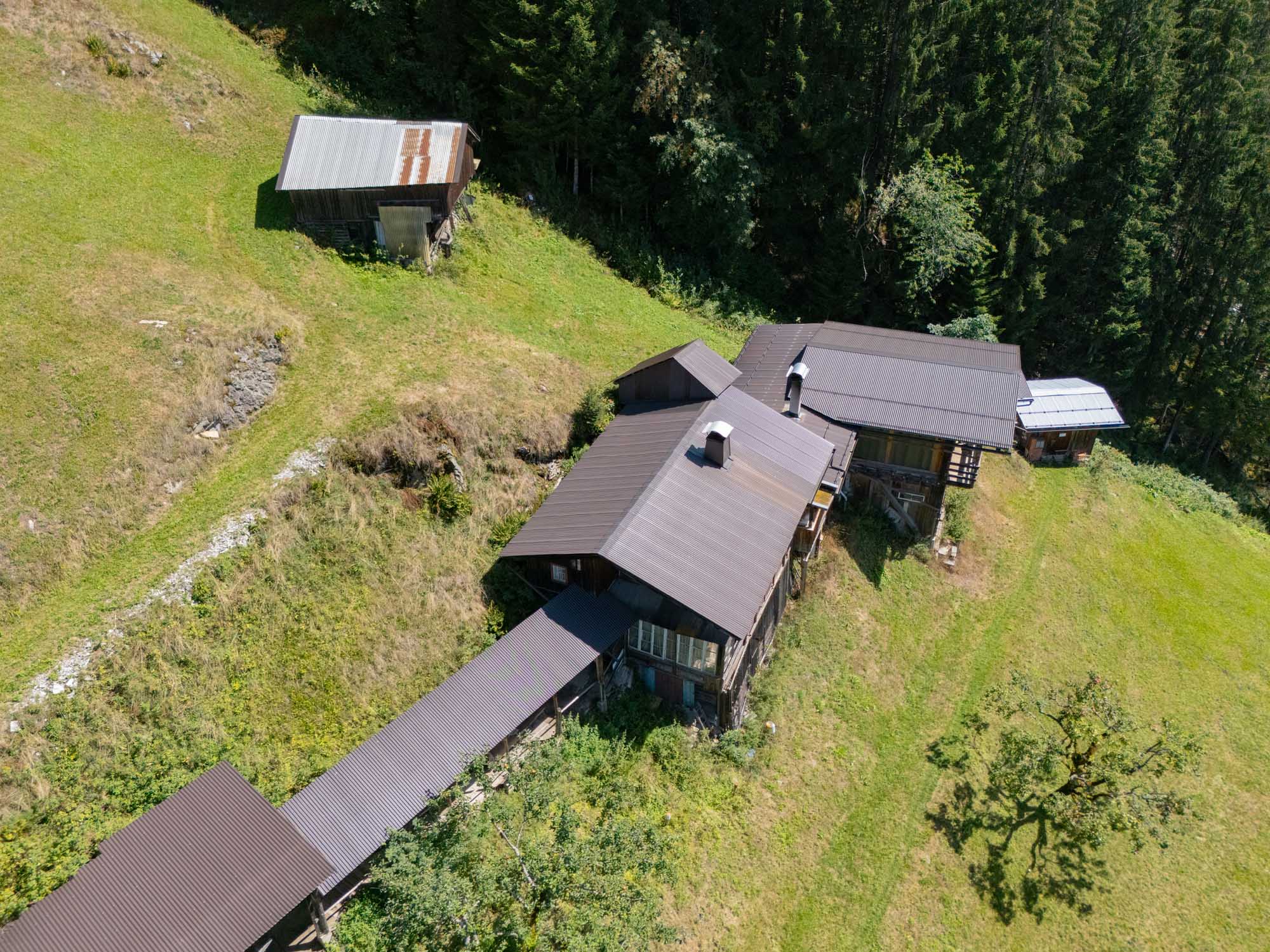 Cungerank DJI 20260819141839 0975 D