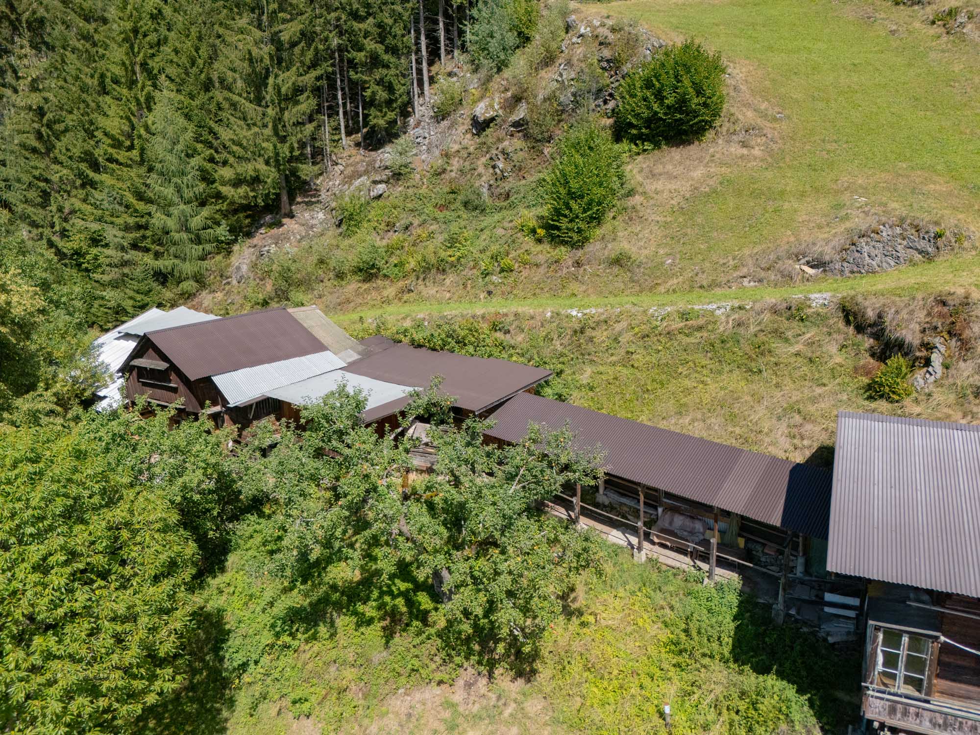 Cungerank DJI 20260819142011 0990 D