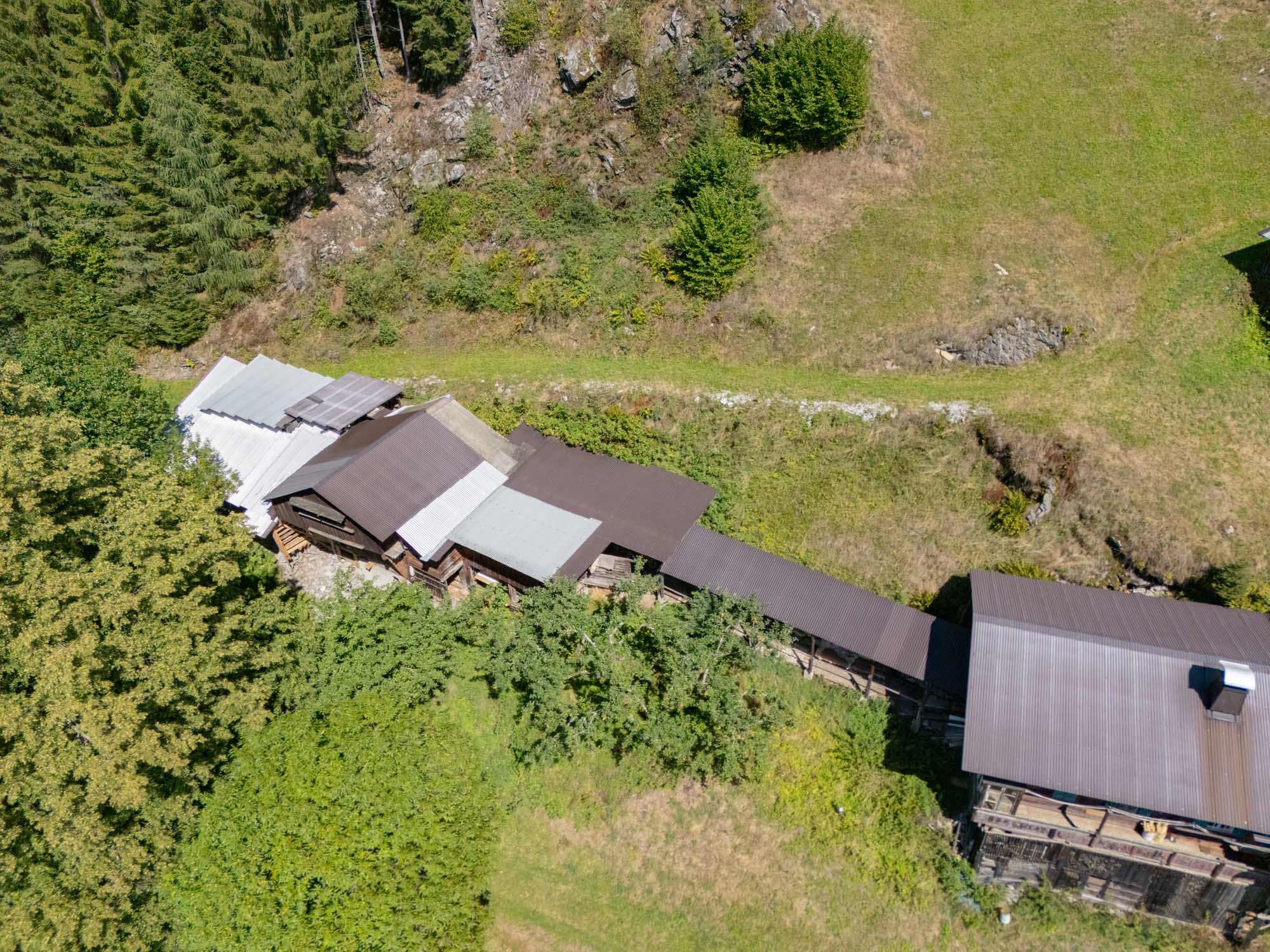 Cungerank DJI 20260819142053 0001 D